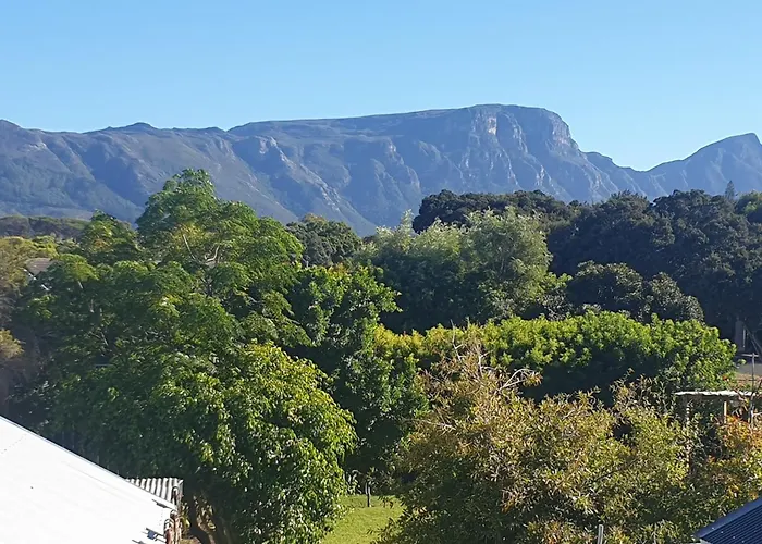 Clement One, A Villa For Family & Friends Cape Town